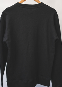 Pioneer Jumper Men's | Apostl